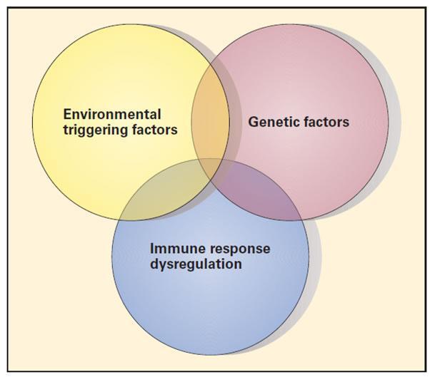 Otoimmünite genetik + hormonal + immün «otoimmünite