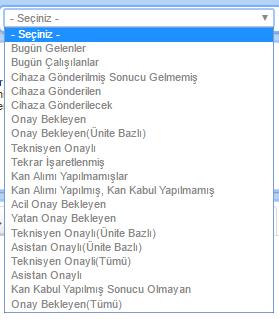 2.3. Bu listenin adı Hızlı seçenekler. Bu seçeneklerde kullanıcıların örneklerin durumuna göre hazırlanmış hazır listeler bulunur.. 2.4.