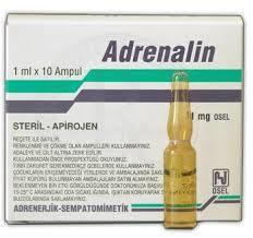 Adrenalin yan etkileri Dakikalar içinde hafif Anksiyete Solukluk Taşıkardi Baş ağrısı Ciddi yan etki nadir (