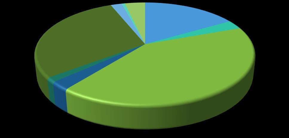 Grafik 1: 2019 Mali Yılı Gider Bütçesi SERMAYE TRANSFERLERİ 2% SERMAYE GİDERLERİ 29% BORÇ VERME 1% YEDEK ÖDENEKLER 4% PERSONEL GİDERLERİ 17% SOS. GÜV. KUR.