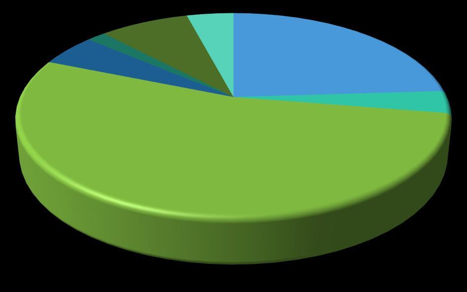 Grafik 3: 2019 Yılı Ocak-Haziran Bütçe Gideri Gerçekleşme Oranları Sermaye Giderleri 8% Sermaye Transferleri 0% Borç Verme 4% Yedek Ödenek 0% Cari Transferler 2% Personel Giderleri 24% Faiz Giderleri