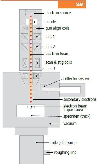 Figure 1 Basic SEM column For demagnifying the electron beam into a fine probe in an SEM column, 2 to 3 electromagnetic condenser lenses are embedded.