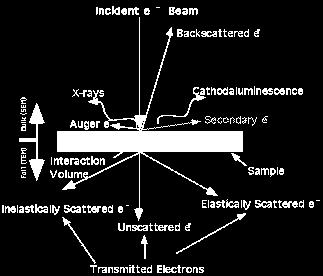 electron detector, some compositional contrast is also present.