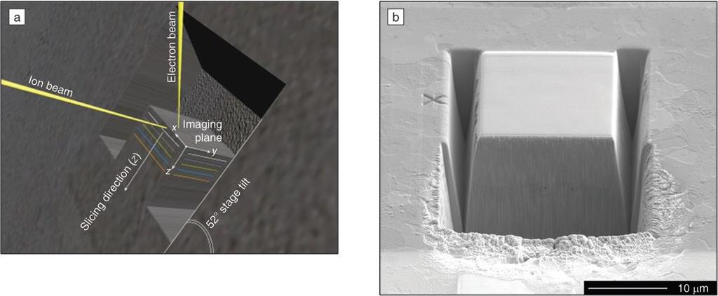 The basic principle for 3D tomography is collecting continuous 2D data from the surface of the bulk material by serial sectioning and combining them into a 3D volume by means of several computational