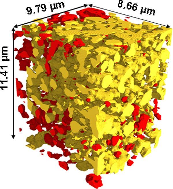 Figure 13 3D EDS image reconstruction which shows particle distribution in three dimensional volume (taken from[20]) There are even more applications for FIB/SEM