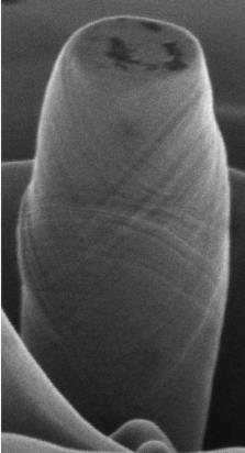 Besides the preparation of the test structure, FIB allows to conduct in-situ mechanical testing in micro/nano size when the system is equipped with