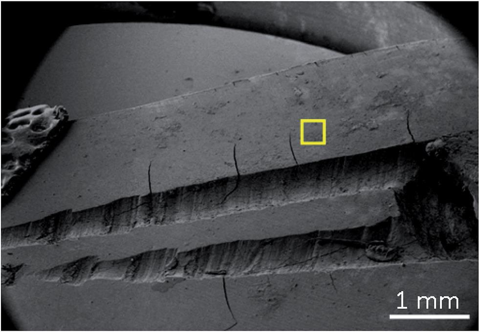 Figure 34 SE image showing the human tooth and the dentin layer around the channels. The selected areawith the yellow square shows the region where the FIB sectioning was done.