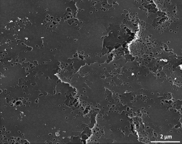 In the current study a XeF2 assisted etching was performed on the anatase surface with ion fluence of 1.24 E19 ion/cm 2. The surface morphology became smoother as shown in Figure 52.