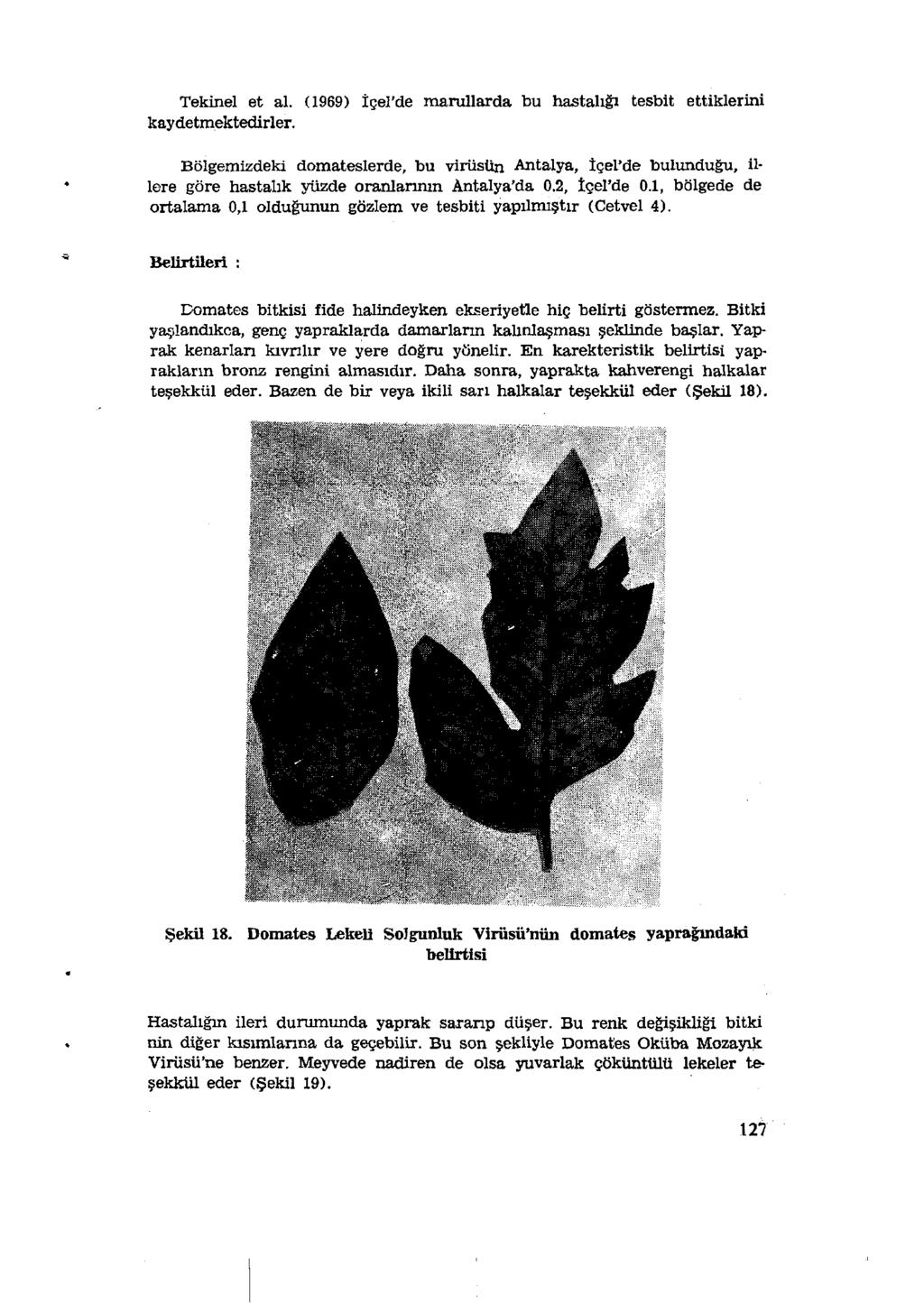 Tekinel et al. (1969) İçel'de marullarda bu hastalığı tesbit ettiklerini kaydetmektedirler.