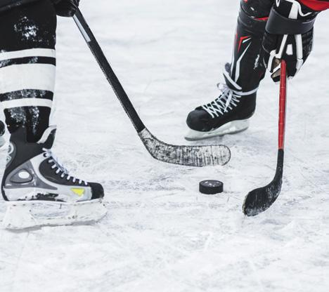 2020 de İzlanda da gerçekleşecek olan 2020 IIHF Buz Hokey