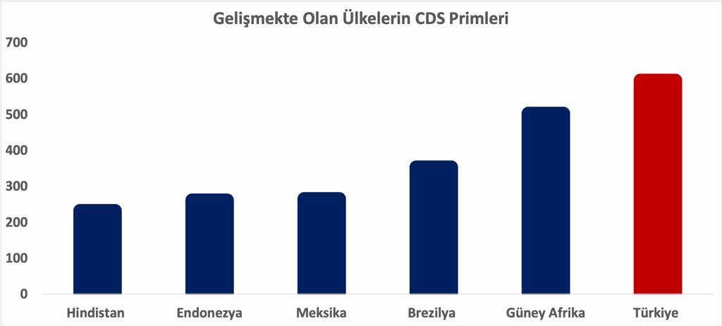 Var olan yapısal sorunlar ise makro-finansal tabloya eklemlenerek krizin yayılmasına neden olmuştu.