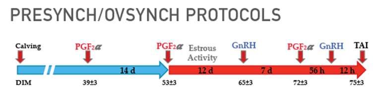 Prof.Dr. Ayhan BAŞTAN 338 Prof.Dr. Ayhan BAŞTAN 339 Presenkronizasyon yöntemlerinden birisi ovsynch başlamadan önce 14 gün arayla 2 kez PGF2α enjeksiyonu yapmaktır (Presynch-Ovsynch).