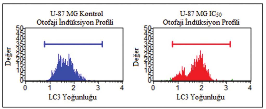 for 72 hours with IC50 concentration (IC50: 2454 μm) of BPH in GBM cell culture). vurgulanmaktadır [23].