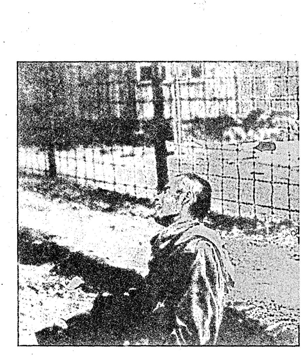 ŞEYTAN Toplama kampında bir kurban, Avrupa, 1945. Şeytan'ın en gerçek görüntüsü, insanların acımasızlığında ve ilgisizliğinde yatmaktadır. ABD Savunma Bakanlığı'nın izniyle, Washington.
