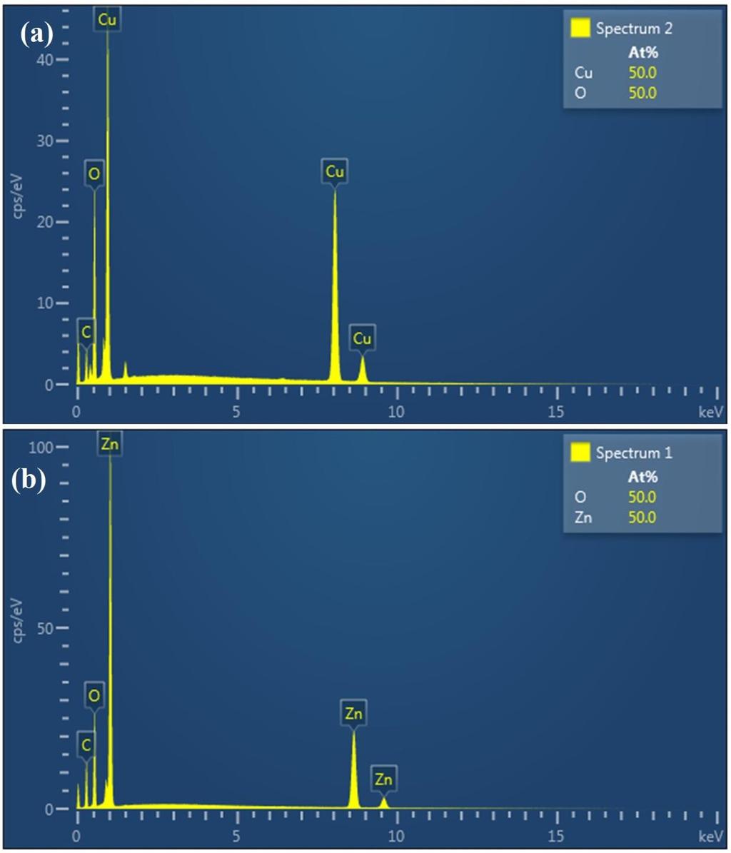 4.1.3 Enerji Dağıtıcı Spektroskopisi (EDS) Deneysel çalışmalar sonucu elde edilen metal oksit nanopartiküllerin element kompozisyonunu incelemek için EDS analizi yapılmıştır. Şekil 4.6 (a) ve Şekil 4.