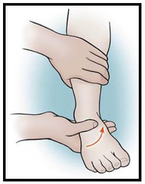 2-) Talar Tilt Testi Ayak bileği eklemine varus ve valgus stresi uygulanarak lateral ve medial açılma değerlendirilirek kapsüler bağların durumu hakkında fikir elde edilir.