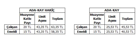 Öğretim Üyesi Farklarının Faturalandırılma Süreci Öğretim üyesi muayene limitleri 390 TL olarak güncellenmiştir.