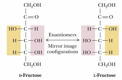 Glikoz, galaktoz ve mannoz altı C lu monosakkaritlerdir. Aldehit grubu taşırlar. Kapalı formülleri aynıdır. Fakat bu monosakkaritler birbirlerinden farklı aldohekzozlardır.