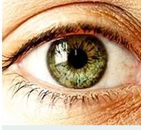 Yeşil göz rengine sahip insanlar, diğer insanları kolay bir şekilde etkisi altına alabiliyor. Hem çok gizemli hem de çok özgüvenli kişilik özelliklerine sahiptirler.