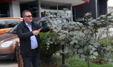 .. Yeter ki benim üzerimdeki günlük yorgunluğumu alsın... Yani kısaca demem o ki; Aşk şiirlerini de severim... Haksızlığa ve adaletsizliğe başkaldıran şiirleri de.