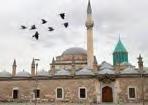 11 Ağacın gölgesine de çöktüler ki değme keyiflerine! Akçadoru iyi değil lakin. Zehirlenmiş bacak morardıkça morardı. Yere serdiği vücudu ise haylidir tir tir titremede.