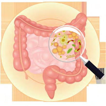 Ali ÖZDEN; Gastro- ntestinal Sistem ve Probiyotik-Prebiyotik Synbiyotik; Ankara Üniversitesi Tıp Fakültesi Sıdıka Büyükhelvacıgil Öztürk Zade Vital Kimya & Biyoloji Mühendisi İş Geliştirme Uzmanı