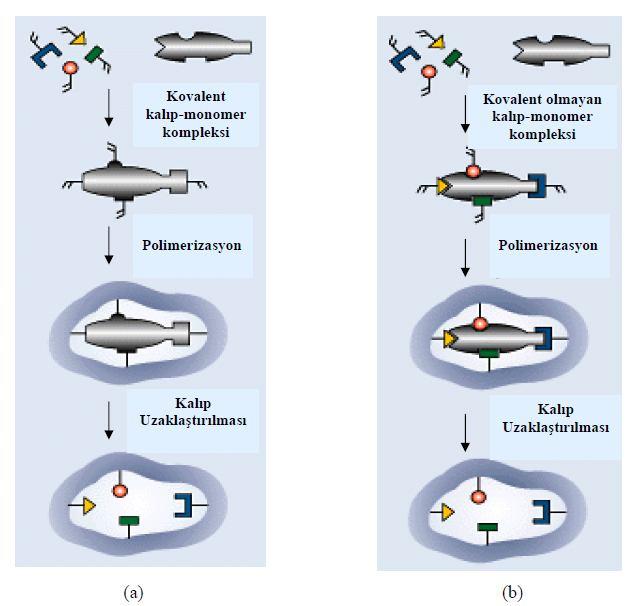 etkileşimler, van der Waals etkileşimleri ve iyonik gruplar arasında gerçekleşen oulomb etkileşimleri gibi etkileşimleri içine alan kovalent olmayan yaklaşımdır (Şekil 1.2b