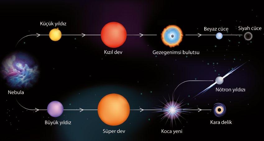 III: Siyah cüce,karadelik ve nötron yıldızı belirli mesafede bir araya gelerek takım yıldızlarını oluştururlar. ifadelerinden hangileri çıkarılabilir?