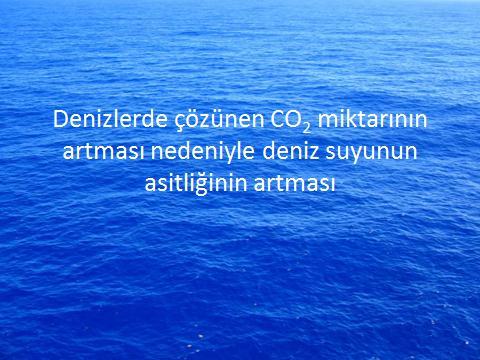 Denizlerde çözünen CO 2 miktarının artması