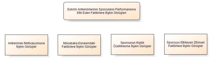 Bu faktörler, antrenman motivasyonuna ilişkin görüşler, müsabaka esnasındaki faktörlere ilişkin görüşler, sporcunun kişilik özelliklerine göre ilişkin görüşler ve sporcuyu etkileyen zihinsel