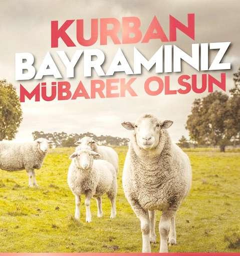 Kurban kesiminin ardýndan etleri parçalattýrmak ve çektirmek isteyen vatandaþlara hijyenik koþullar açýsýndan kasap esnafýný tavsiye eden Recep Gür, "Kasaplar dýþýnda sokakta, baðda, bahçede,