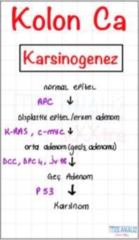 YDUS KORELE 19 SORU Kolorektal adenomdan karsinom gelişimi sürecinde, normal epitelin displastik epitele dönüşmesinden sorumlu olan en olası mutasyon aşağıdaki genlerden hangisinde izlenir?