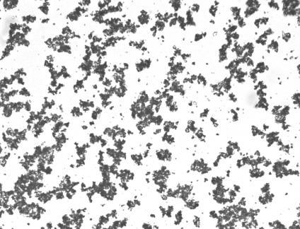 Pt control experiment of AO1 PNMRAIS As can be seen from Figures 3.7, 3.9, 3.