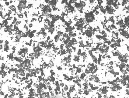 , this group sequences showed the least affinity among the tested sequences but still no affinity was obtained towards the Pt surface in cross specificity