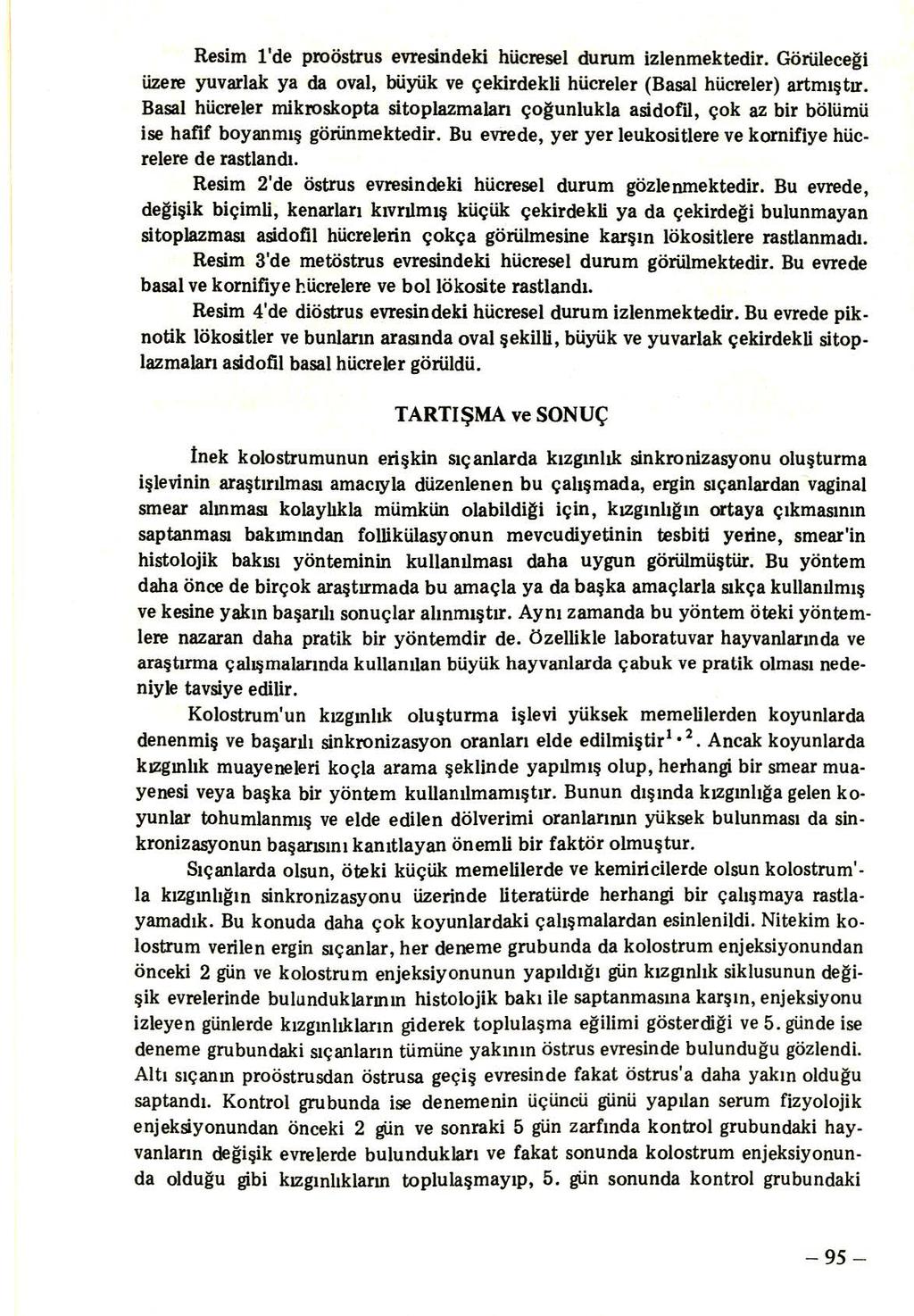 Resim l'de proöstrus evresindeki hücresel durum izlenmektedir. Görülece~i üzere yuvarlak ya da ova!, büyük ve çekirdekli hücreler (Basa! hücreler) artmıştır. Basa!