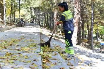 PEYZAJ MÜDÜRLÜĞÜ KURU PEYZAJ ve TEMİZLİK Peyzaj Müdürlüğü ek pler, Ankara'nın merkez ve çevre lçeler nde kuru