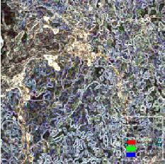 yılı ve 2010 yılı Landsat görüntüleri, denklem 4.