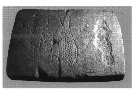 Mimari Sembolizm Bağlamında Çanak Çömleksiz Neolitik Fevzi
