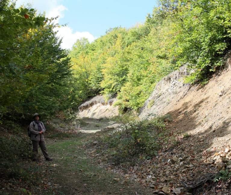 An Ancient Route Trough the Tavşan