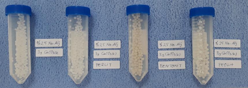 Bu sebeple 3 gram CaCO3 içeren boncukların kullanılmasına karar verilmiştir.(tablo.2) 100 ml %2,5 luk Na-Aljinat Çözeltisi 100 ml %2 lik CaCl 2 Çözeltisi DEĞERLENDİRME 1. Boncuk 2. Boncuk Örneği 3.