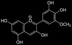 Fenilalanin C 4 H, 4CL, CHS Narinjenin çalkon CHI Eriodiktol F3 H Narinjenin flavanon F3 5 H Pentahidroksiflavanon F3H F3H F3H F3 H F3 5 H Dihidroksikuersetin Dihidrokamferol Dihidromirisetin DFR
