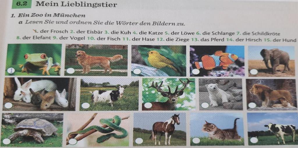 Bu anlamda resim ve metin arasında bir ilinti kurulması oldukça güçtür. Şekil 2. Münih te Bir Hayvanat Bahçesi (Deutsch macht Spaß A1.