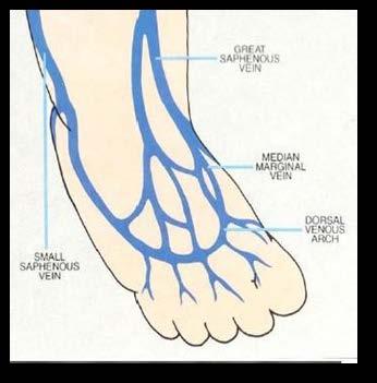 Çocuk hastalarda periferik kateterler için el, ayak sırtı, saçlı deri kullanılmalıdır.