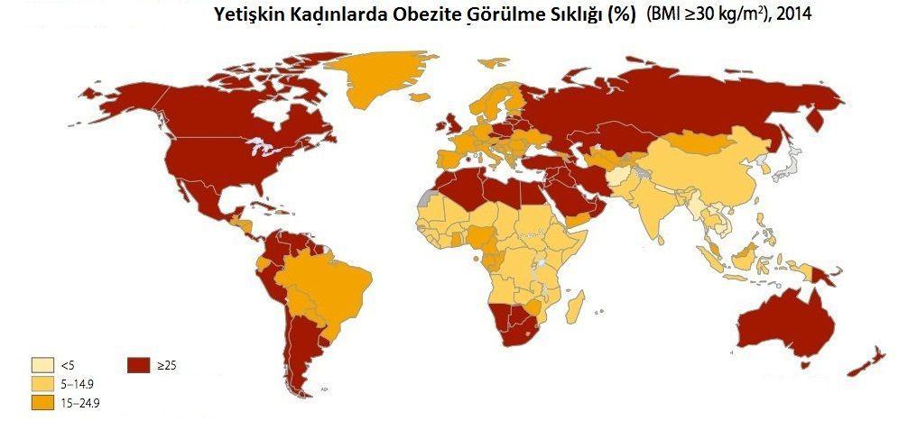 ġekil 1. Obezitenin kadınlarda insidansı (42). ġekil 2. Obezitenin erkeklerde insidansı (42).