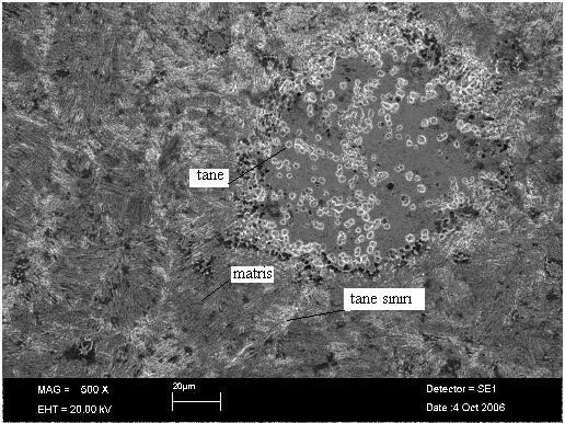 alaşımlı çelik numunenin SEM fotoğrafı (500X) Şekil 7. 1. 3.