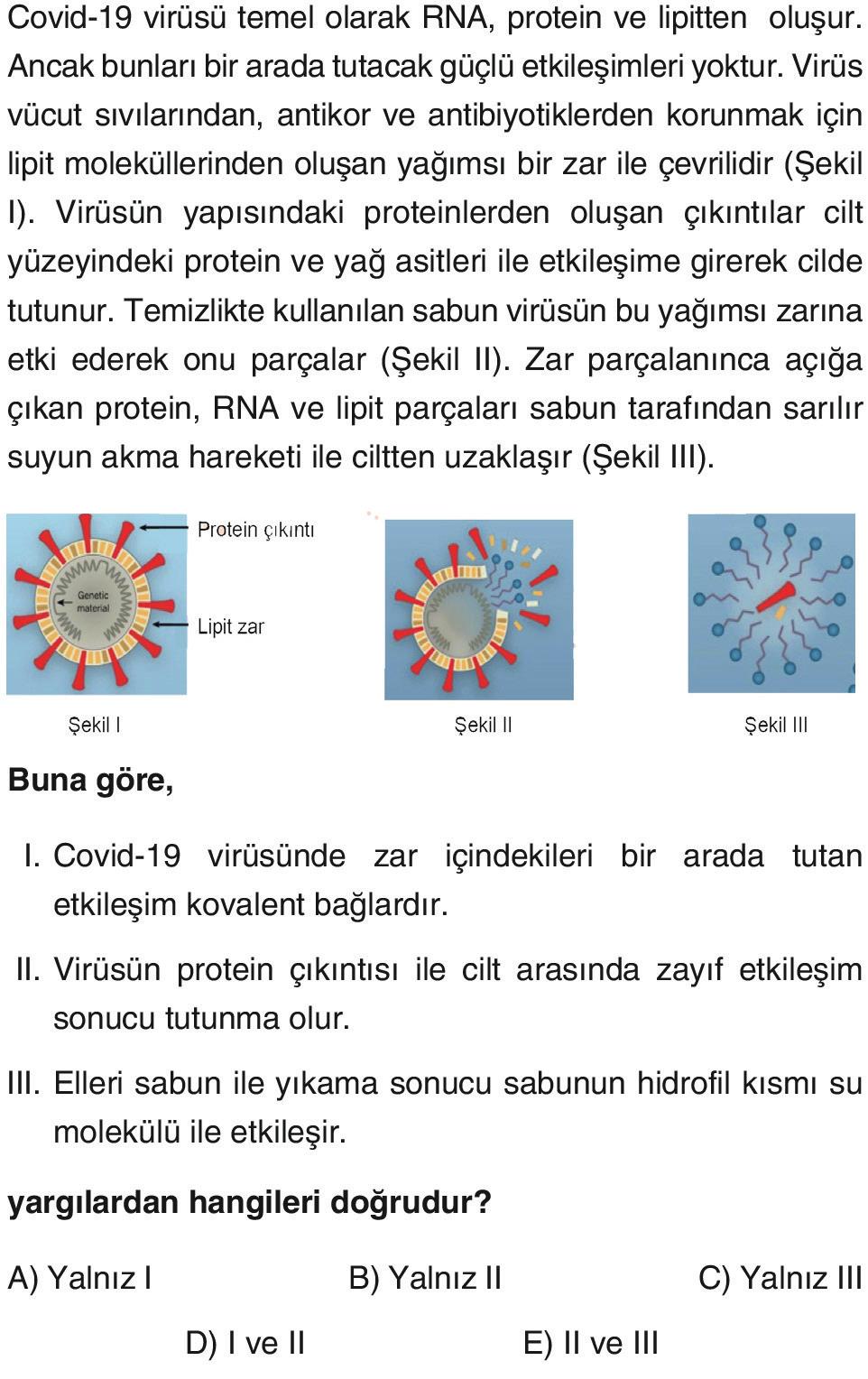 Sabun ve deterjanlar ile ilgili olarak verilen: I. Apolar uçları kir ile etkileşir. II. Polar uçları hidrofiliktir. III.