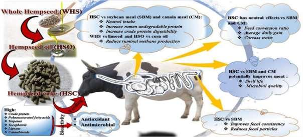 Keywords Animal Nutrition, Hemp by-products, Ruminants and poultry, Alternative feed sources, seeds, leaves, seed oil and meal. These by-products have significant nutritional content.