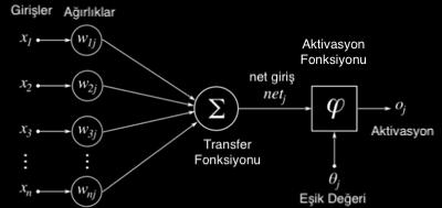 Girdiler ağın öğrenmesi istenilen örneklerin bilgilerini içerirler.