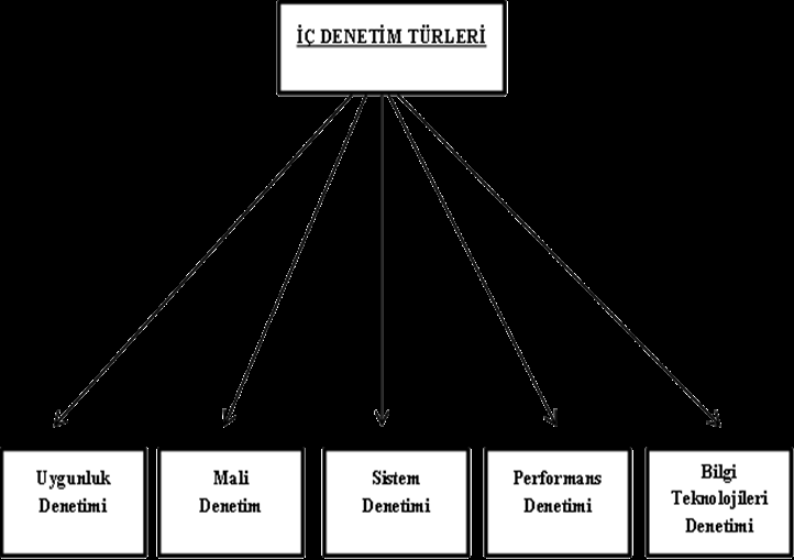 3.11.4. İç Denetim Türleri Uygulamada, iç denetim beş temel faaliyet alanını kapsar.