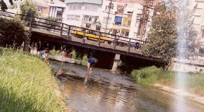 Şekil D.3.2.2 : Yalova Safran Dere Safran Dere nin menba ve orta kesiminde kalite de erleri ortalama seviyededir. Ancak özellikle mansap bölümünde dikkate de er bir kirlenme mevcuttur.